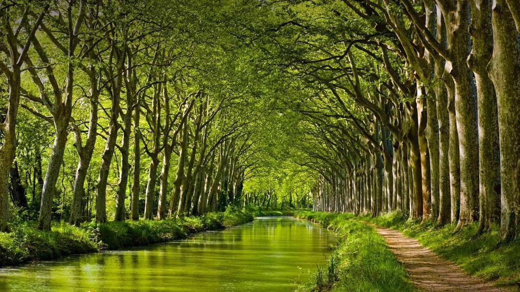 Gite La Chartreuse Du Canal Du Midi Toulouse Eksteriør bilde